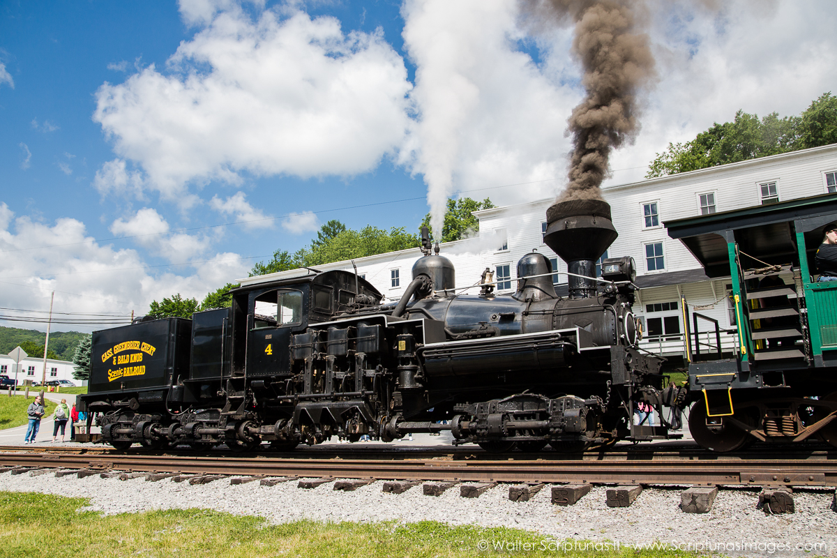 Cass Scenic Railroad Celebrates 50 years!